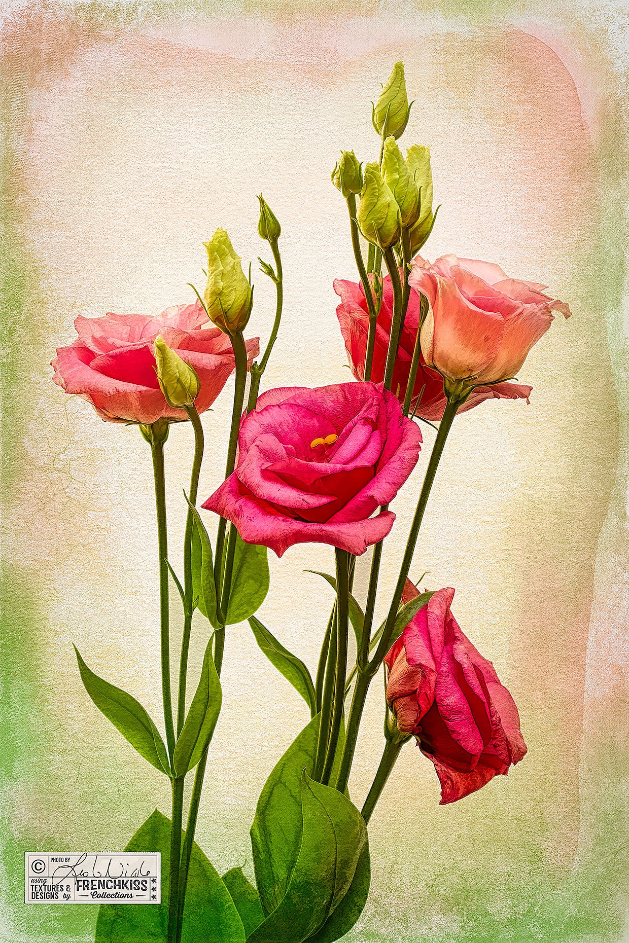 Lisianthus Flowers With Textures And Topaz Labs Filters
