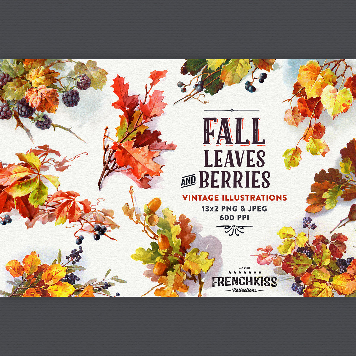 Fall Leaves and Berries Vintage Graphics 600 DPI extended license.