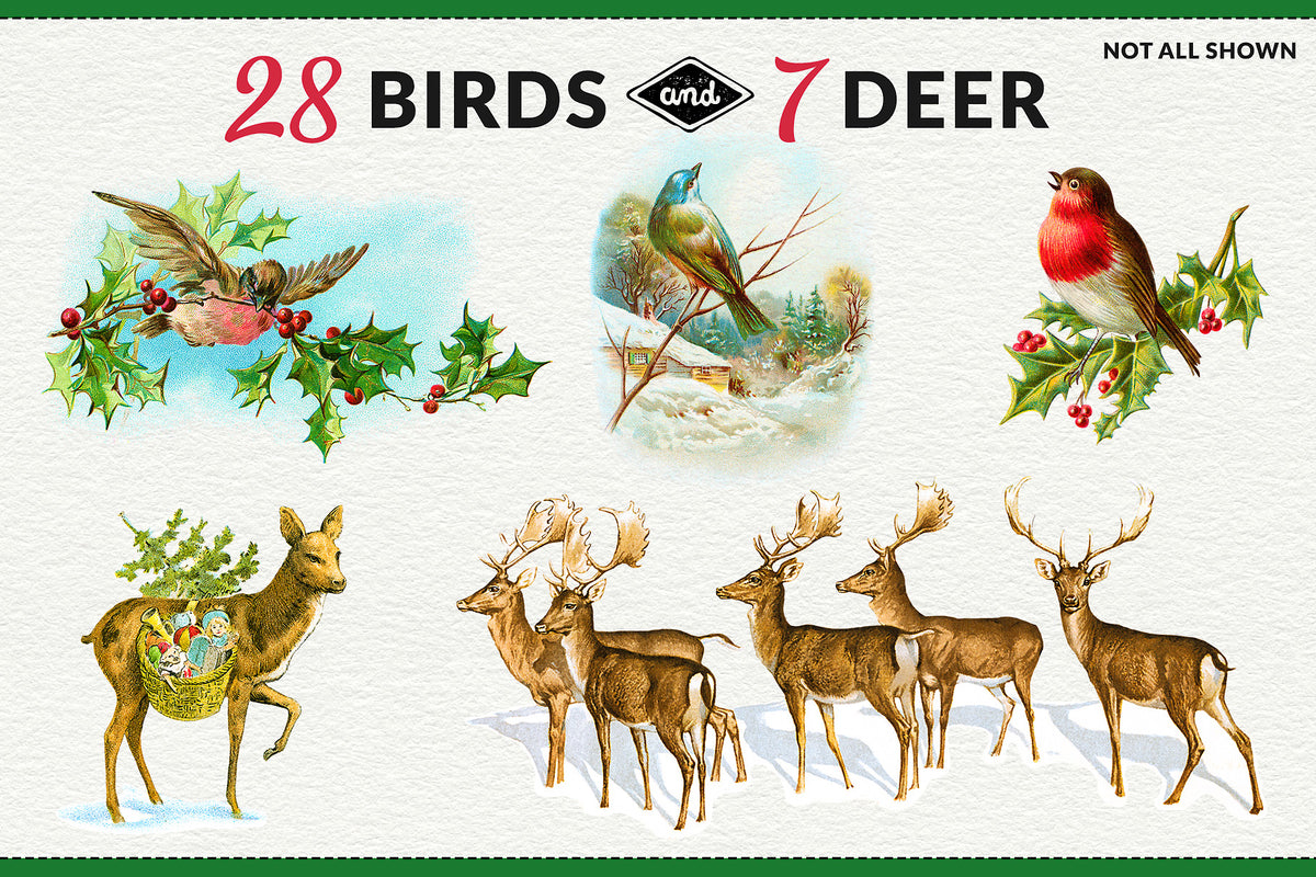Vintage Christmas birds and deer illustration extended license digital graphics.