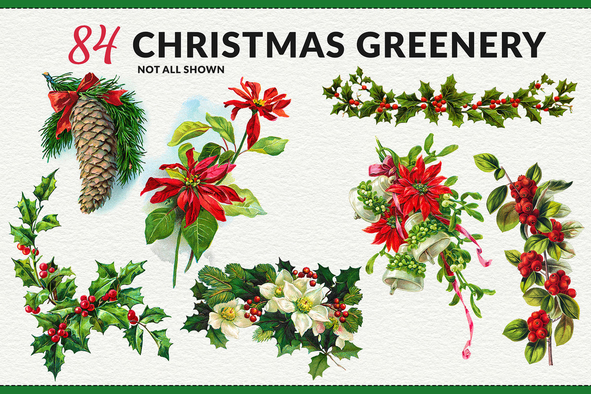 Vintage Christmas holly, bells, poinsettia, pine and other greenery illustrations digital graphics. Extended license.