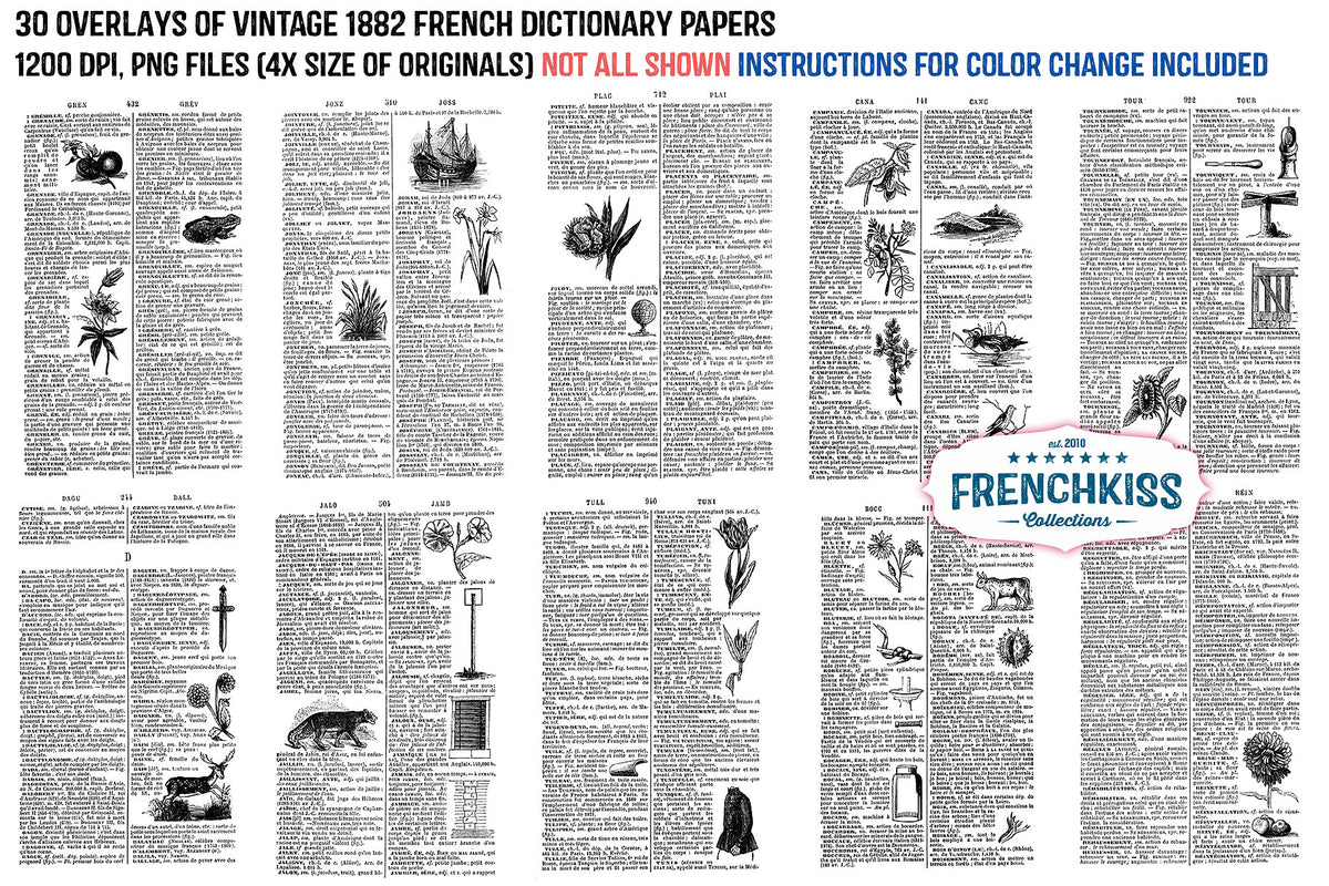 Overlays from a vintage 1882 French dictionary with illustrations.