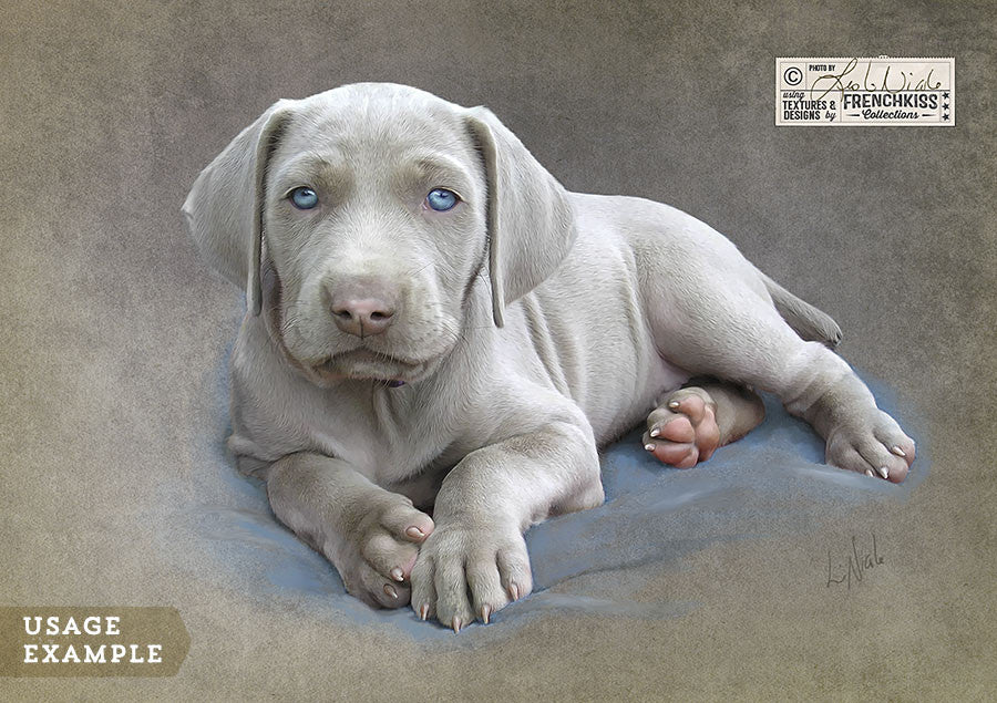 Example of a puppy photo using the French Kiss Classique texture collection.