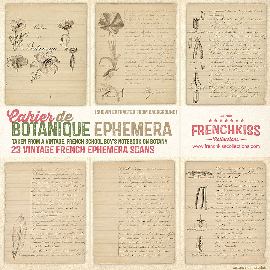 Vintage French Papers from a school boy&#39;s notes and illustrations on botany.