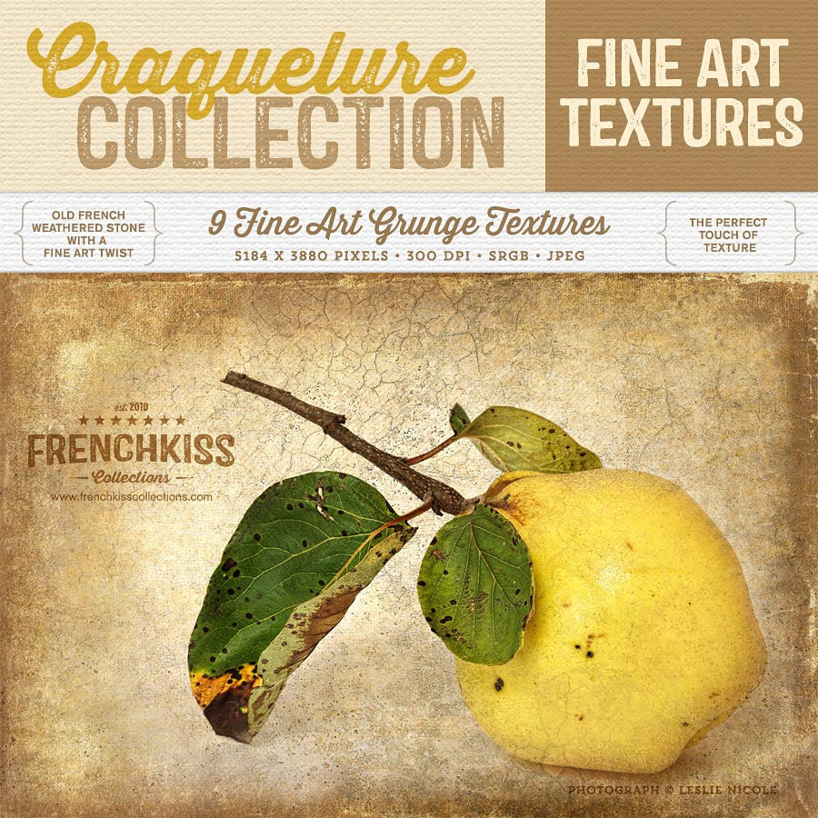 Craquelure fine art texture collection. Commercial license.