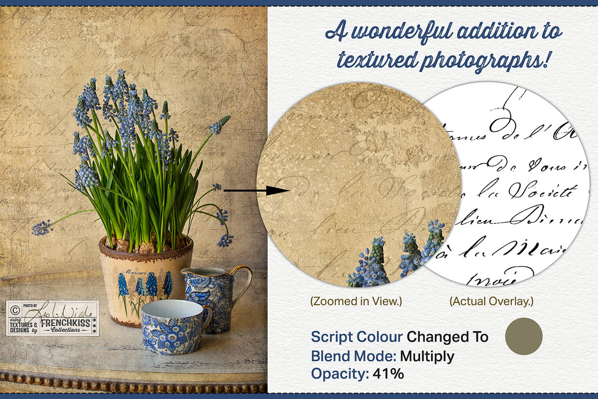 A textured still life photograph of Muscari flowers using a vintage French script overlay from The Essential Vintage French Graphics Collection.