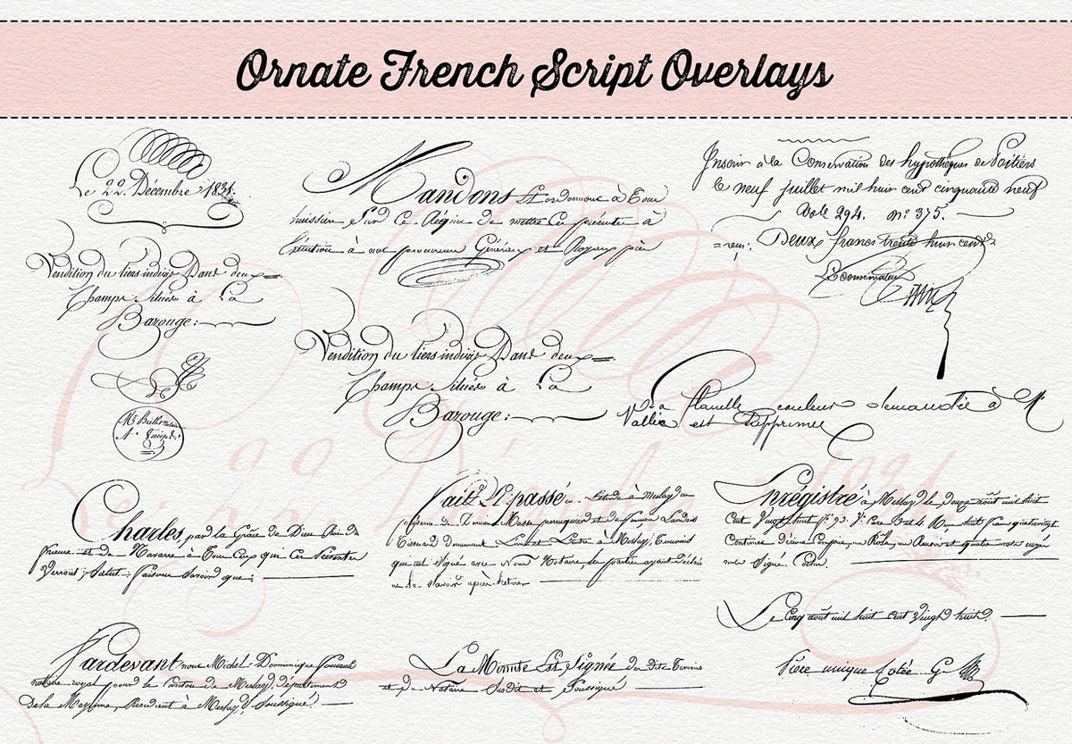 Ornate vintage French script digital overlays from The Essential Vintage French Graphics Collection.