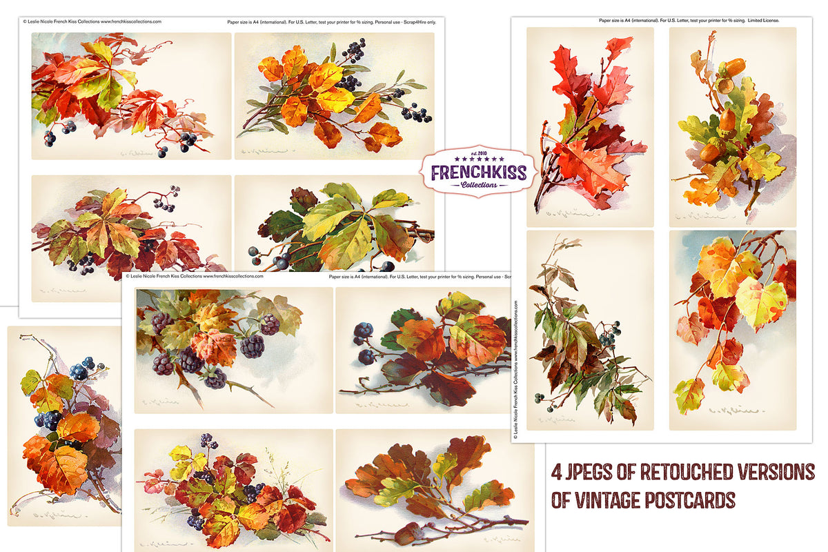 Fall Leaves and Berries Vintage Catharina Klein illustration postcards printables.