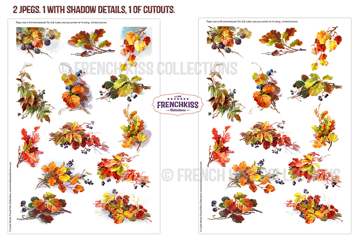 Fall Leaves and Berries Vintage illustrations printables.