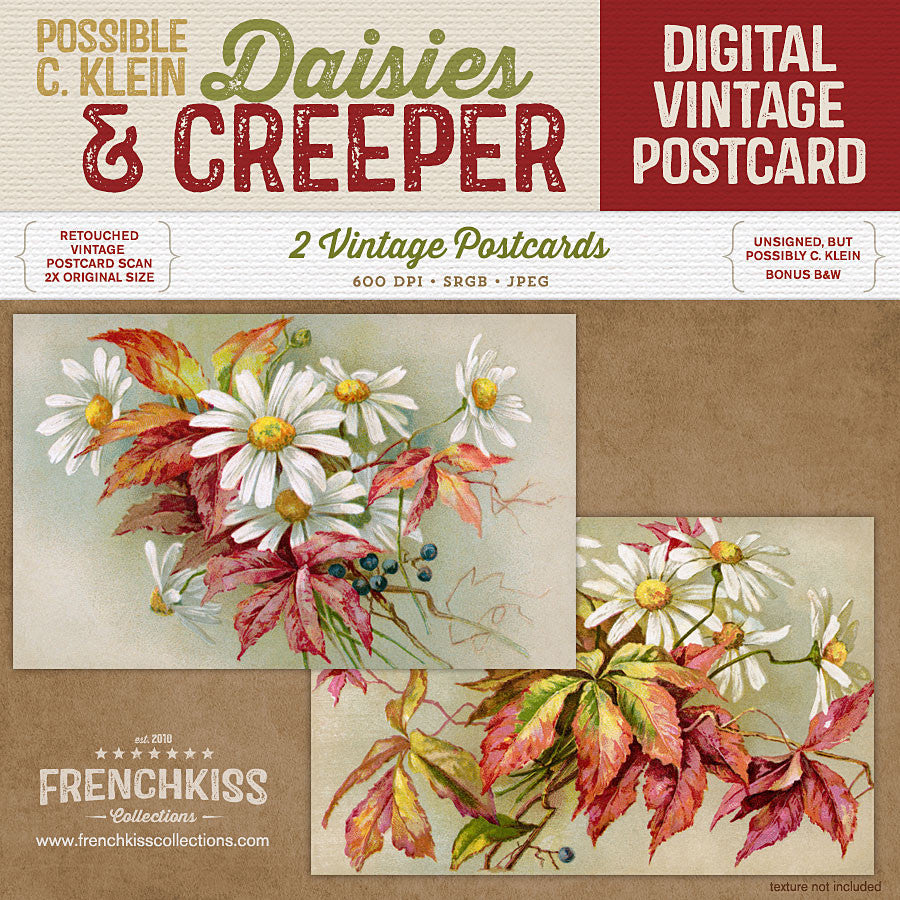 Daisies and Creeper digital vintage postcards.