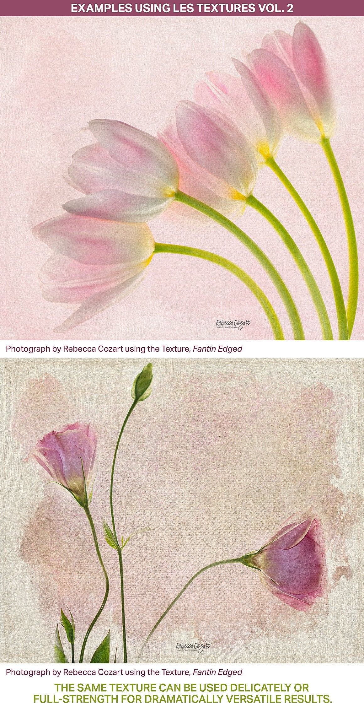 Textured floral photography examples using the Les Textures 2 Collection. 