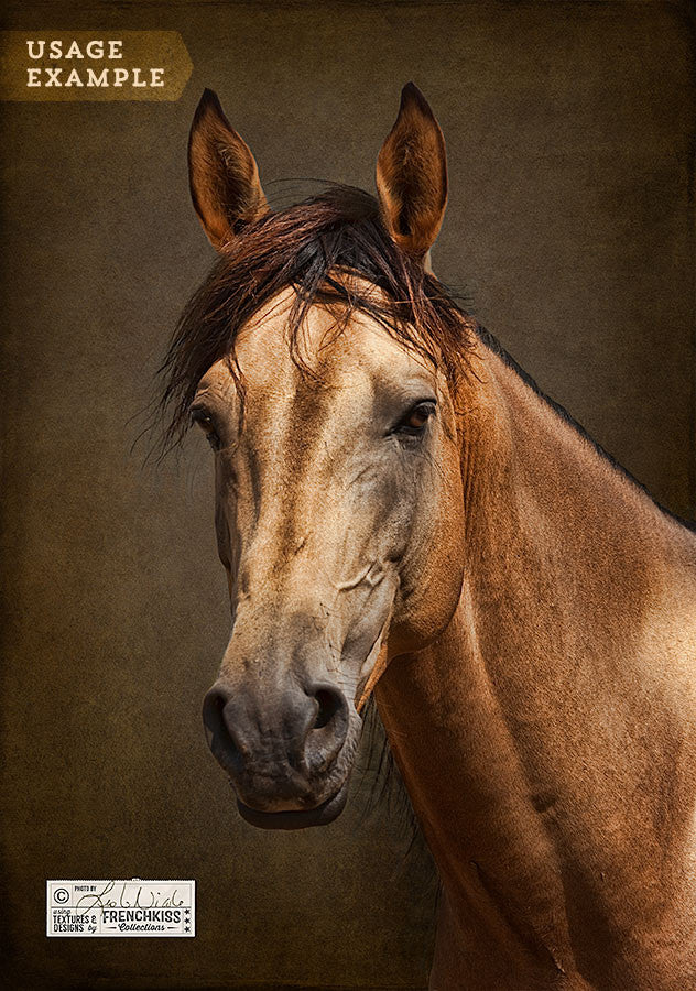 Example of a horse portrait using the French Kiss Classique texture collection.