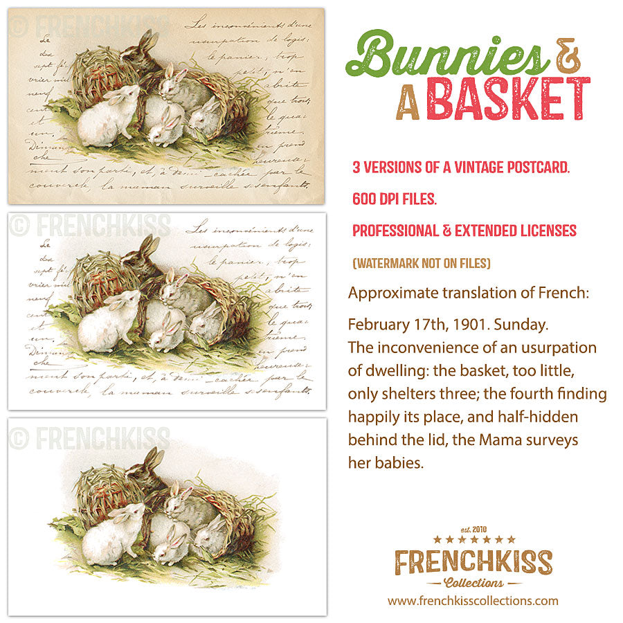 Bunnies in a basket charming vintage illustration with French handwriting. Digital graphics.