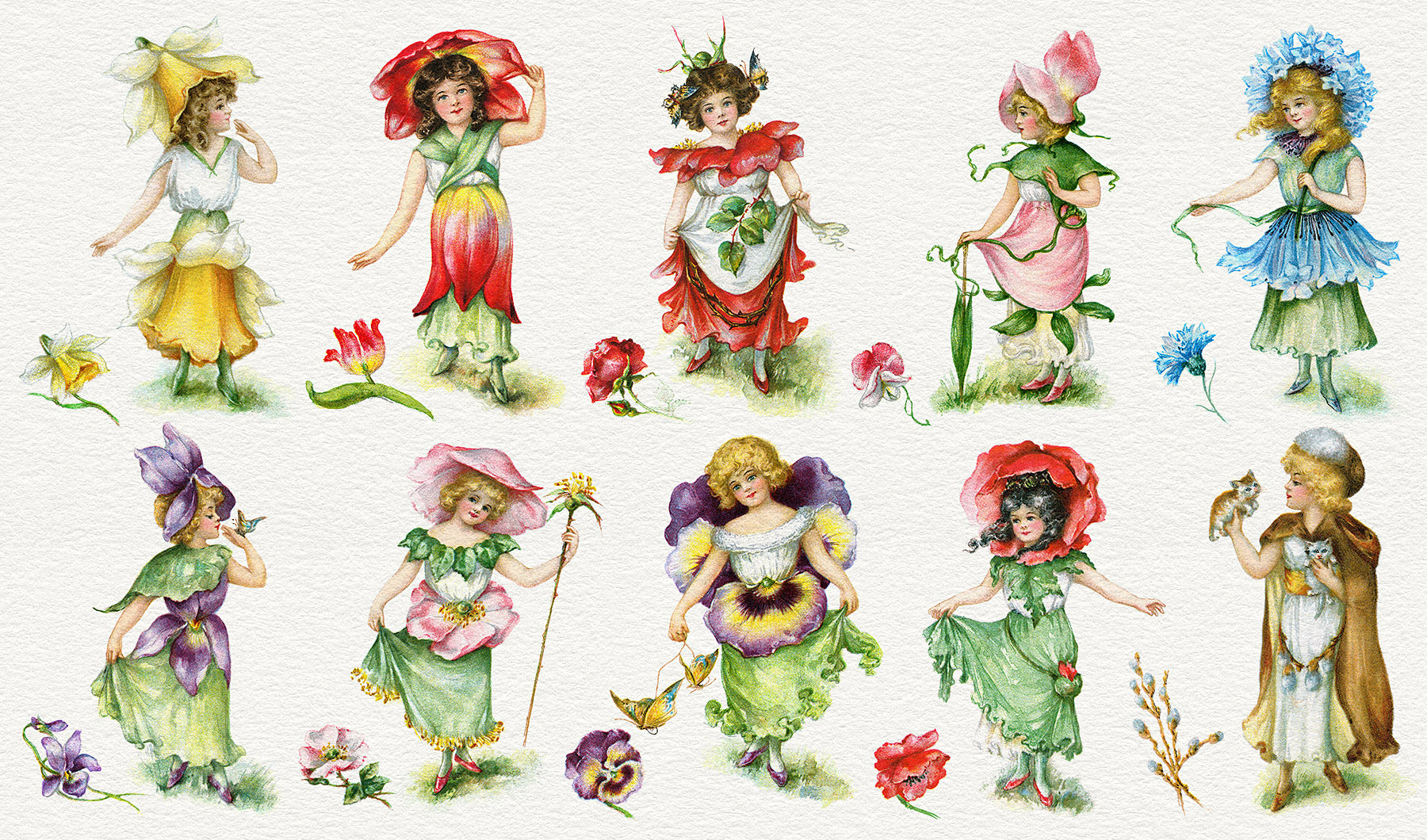 Video For Flower Fairies Illustrations