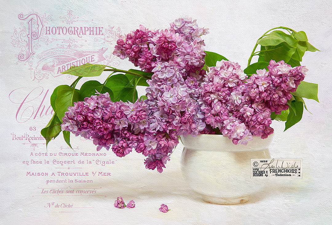 Lilac photograph by Leslie Nicole using a texture from the Tableaux collection.