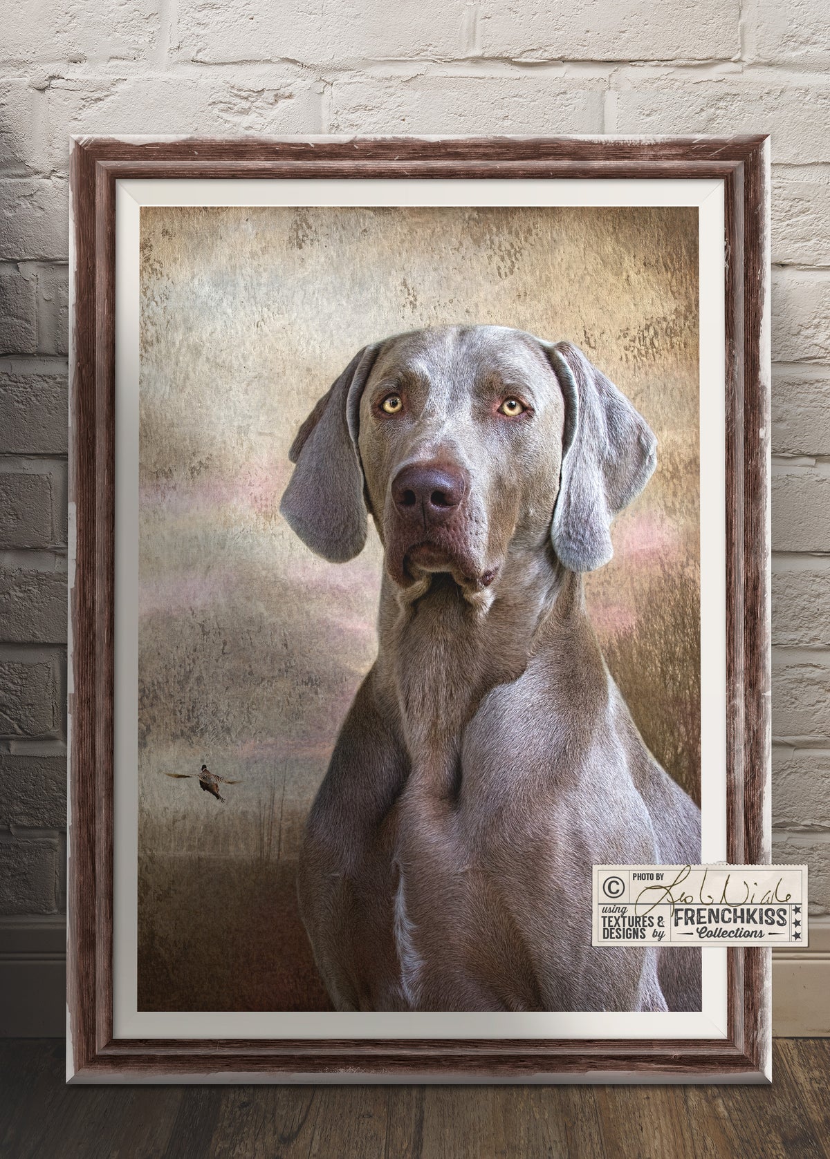 Photo composit of a Weimaraner with a painted texture.