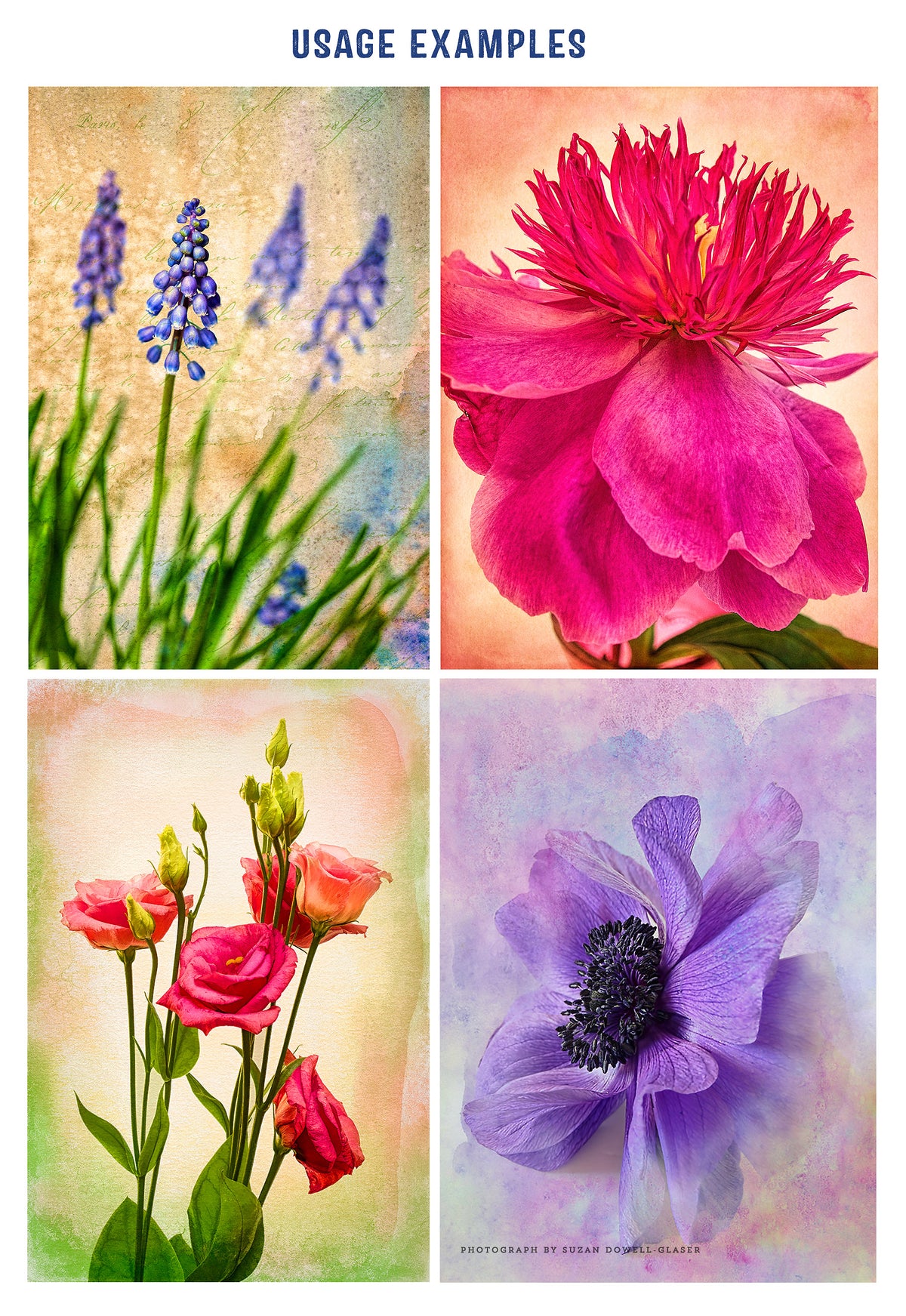 Textured flower photographs using the Autumn Rain watercolor textures.