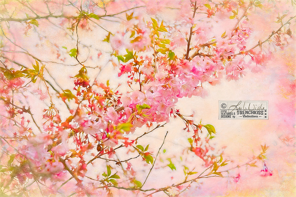 Spring blossoms with a painted texture from the Virtuoso painted textures.