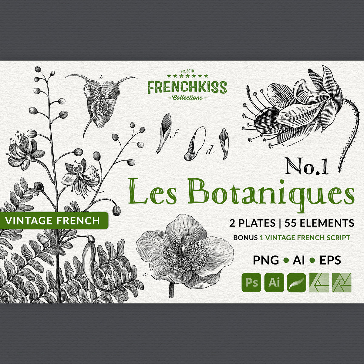 Digital overlays and elements  from vintage French flower botanicals. Vector and PNG.
