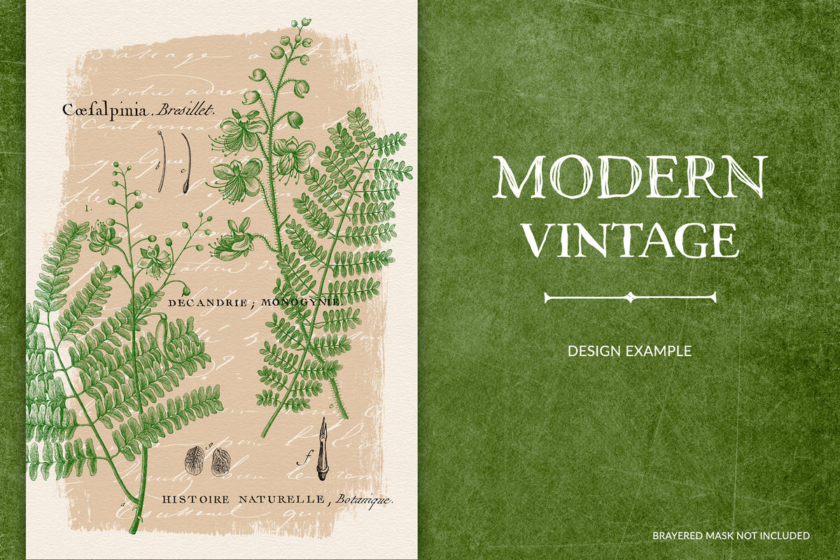 Modern Vintage design using vintage French botanical elements and script.