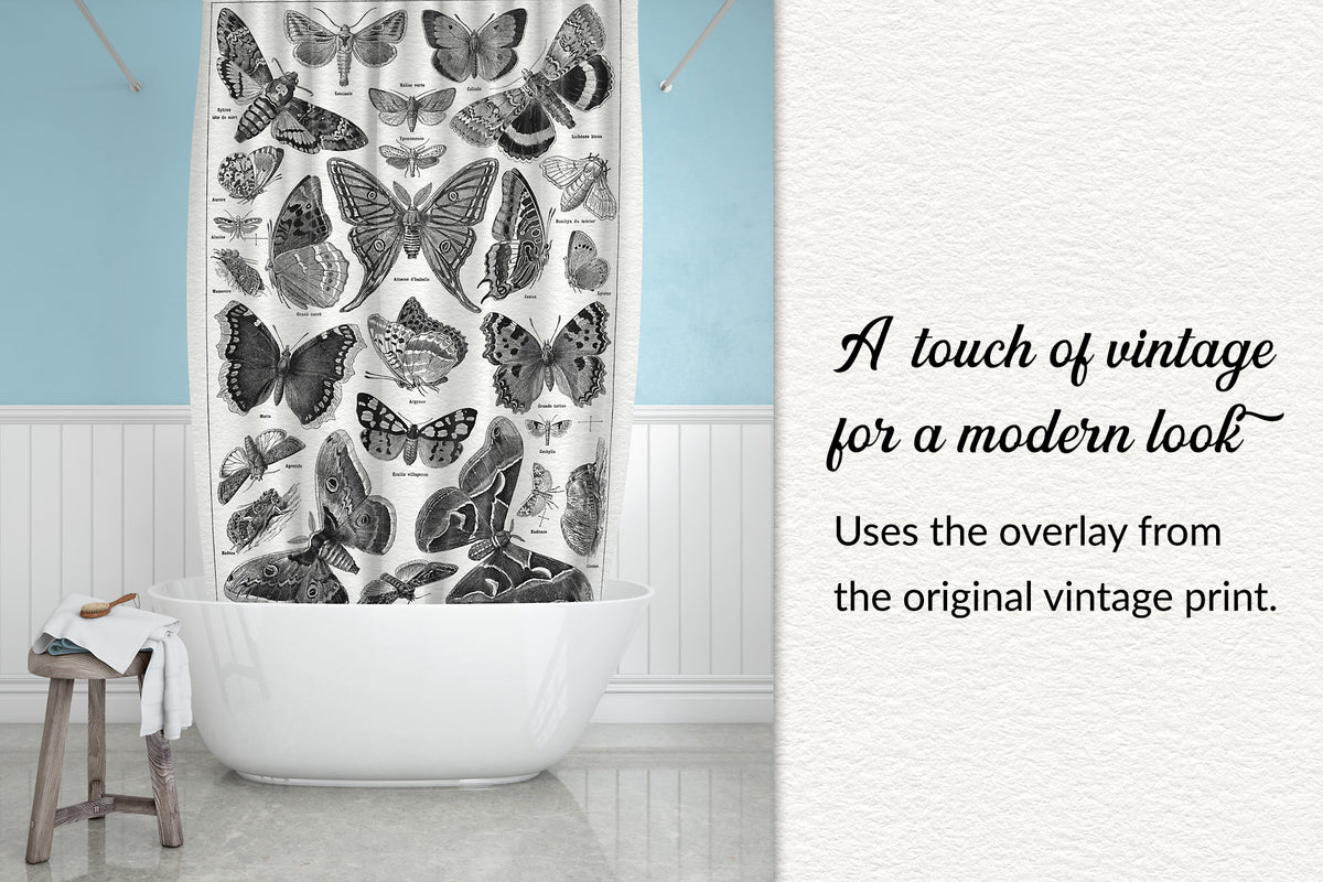 Shower curtain design from a vintage French butterfly print overlay.
