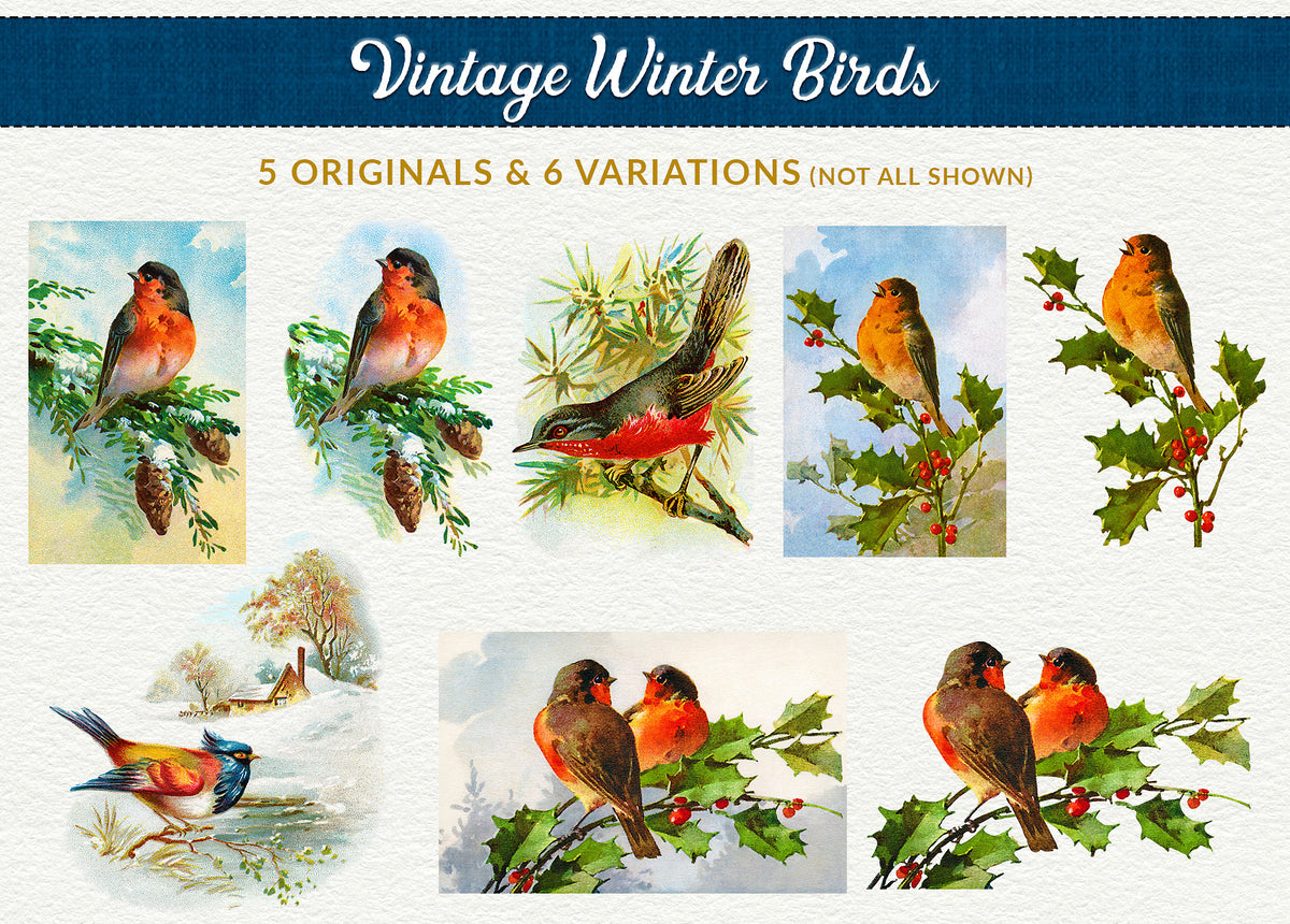Vintage Christmas Illustrations Compendium Bird graphics.