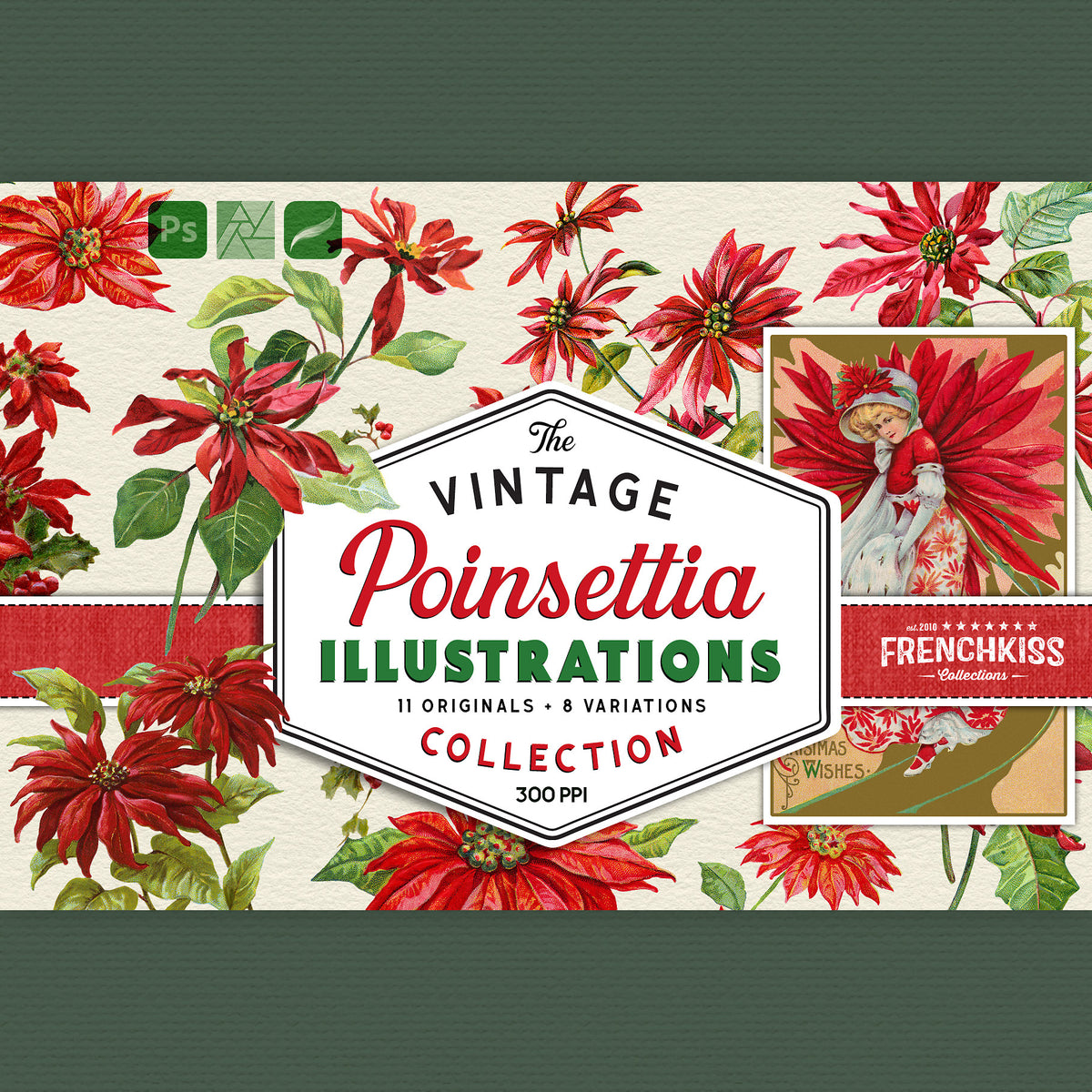 Vintage Poinsettia digital graphics extended license.