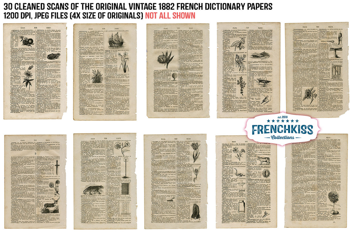 Vintage Papers from a vintage 1882 French dictionary with illustrations.