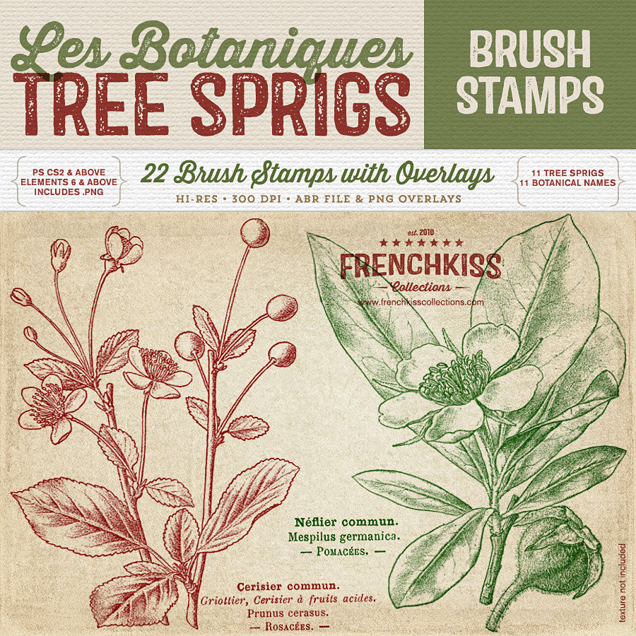 Les Botaniques No1: Tree Sprigs