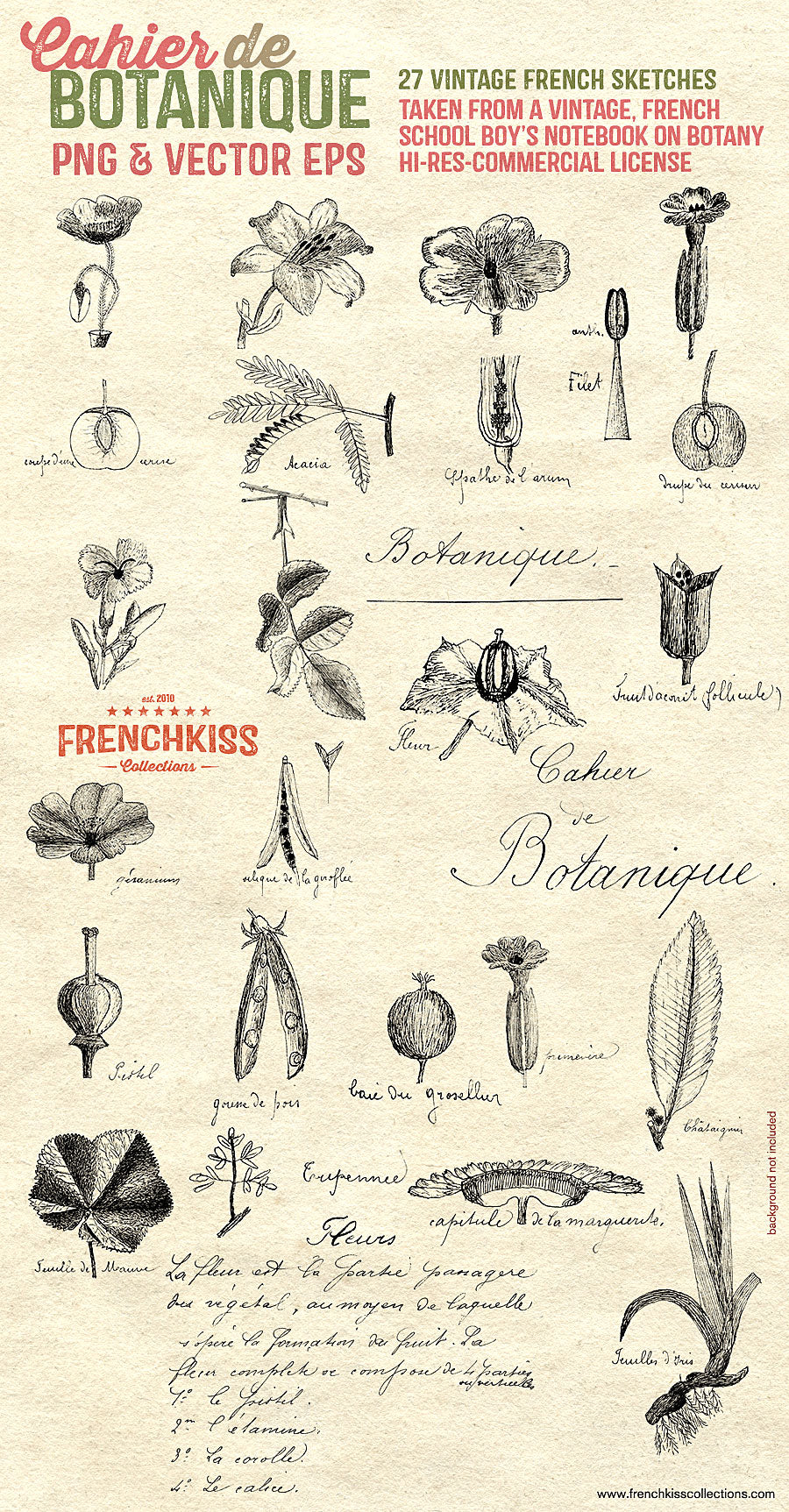 Vintage French overlays and vector eps from a school boy&#39;s sketches and notes on botany.