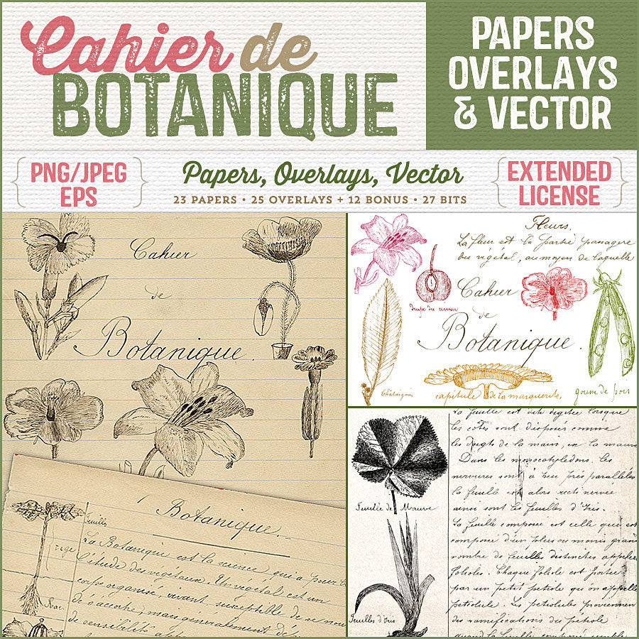 Vintage French papers, overlays and vector illustrations and script from a charming vintage French school boy's notebook on botany.