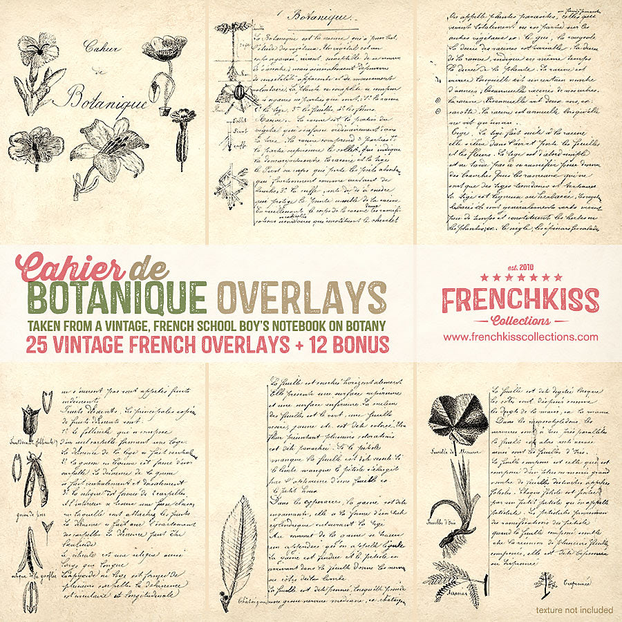 Vintage French overlays from a school boy&#39;s sketches and notes on botany.