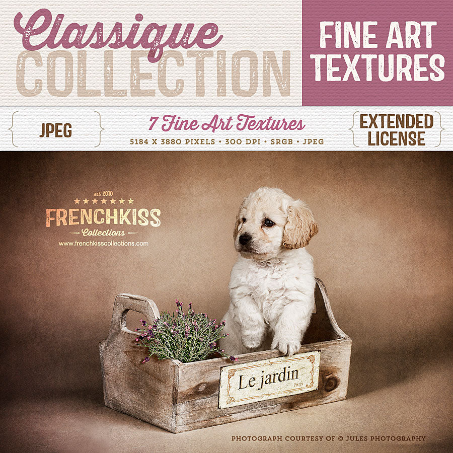 Classique fine art texture collection. Commercial license.
