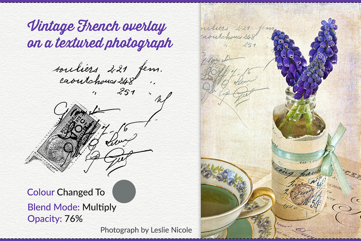 A textured flower still life example using an ephemera overlay from The Essential Vintage French Graphics Collection.