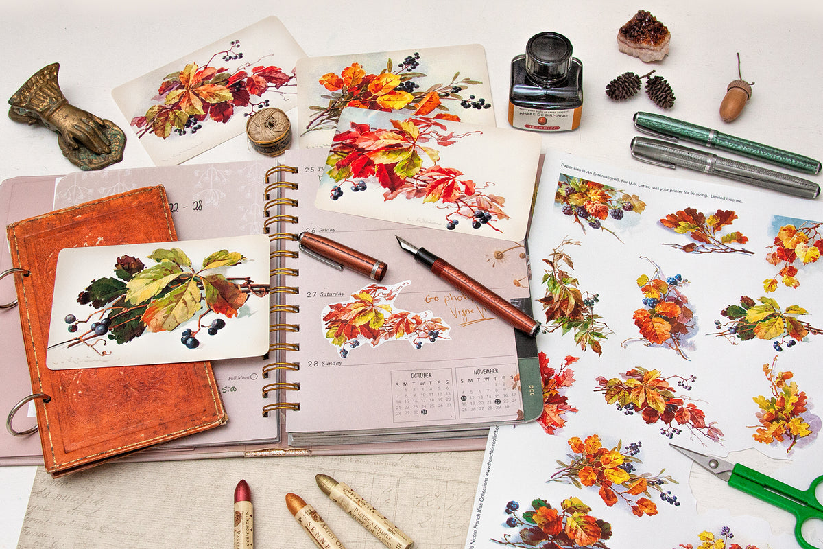 The Fall Leaves and Berries printables are great for journals, happy mail, scrapbooking and crafts.