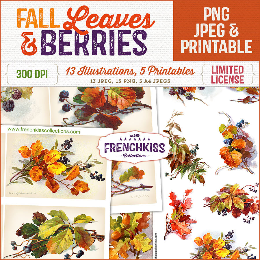 Fall Leaves and Berries vintage graphics and printables.