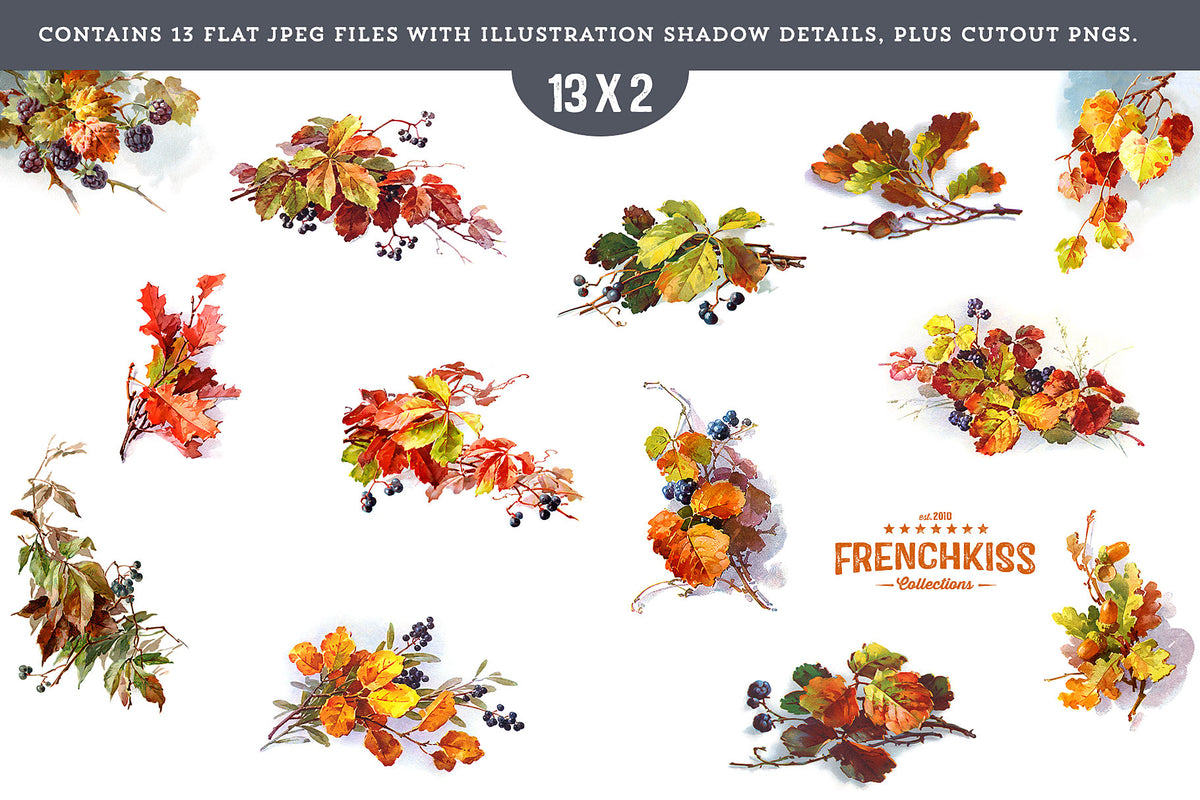 Fall Leaves and Berries vintage graphics JPEGs and PNGs.
