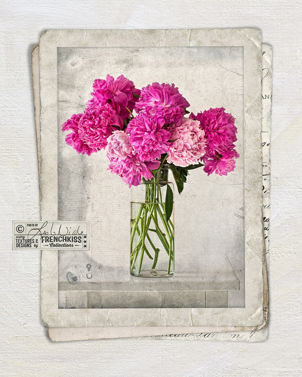 Fine art floral photography using the digital Vintage Grunge Frames.