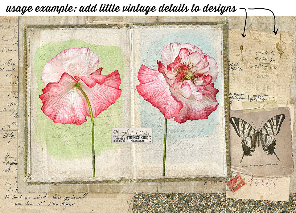 vintage digital collage by Leslie Nicole using botany bit overlays.