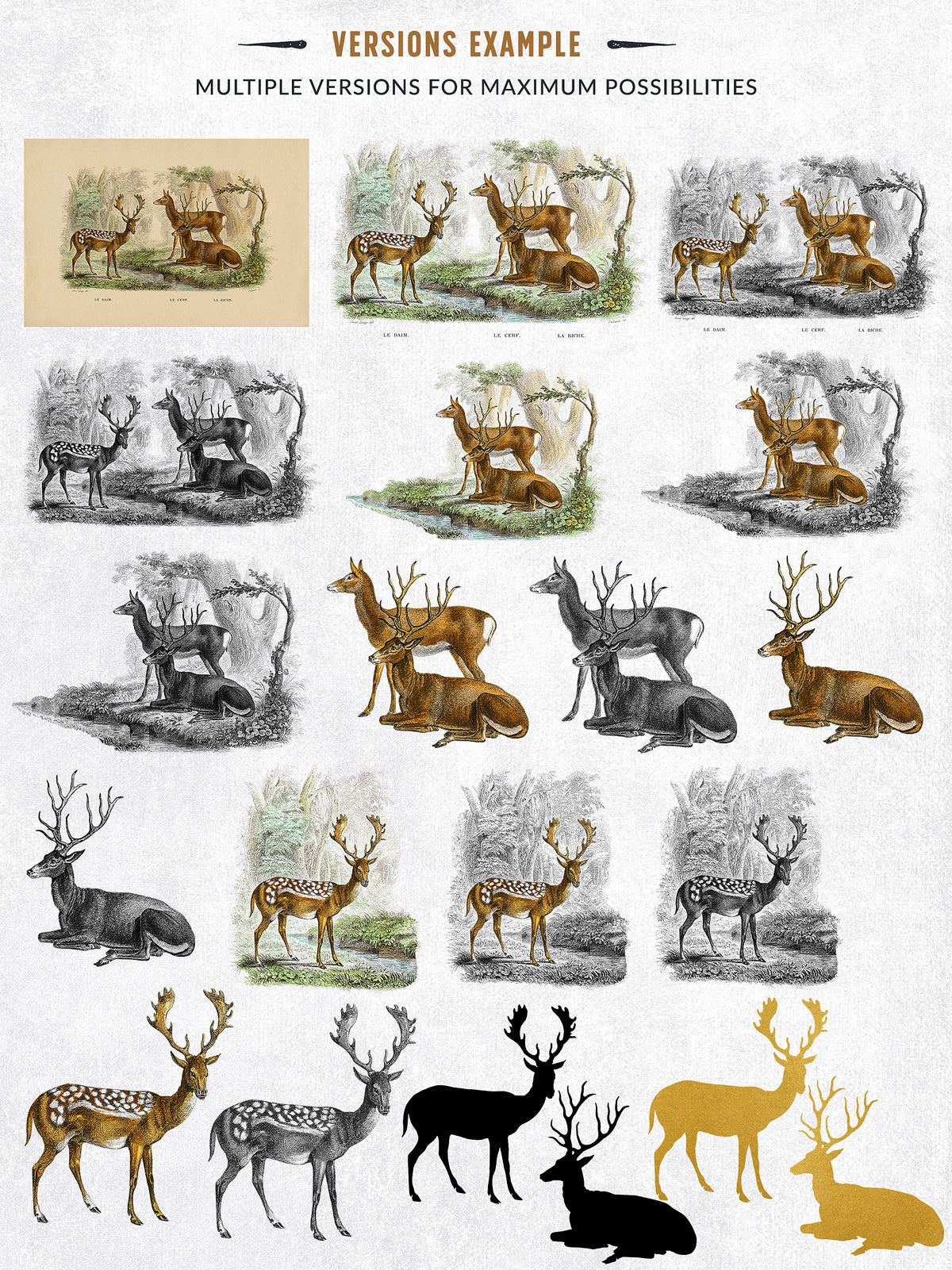Multiple versions of vintage deer illustration graphics.