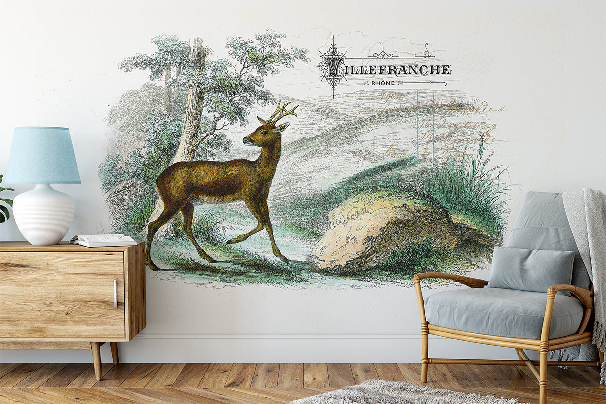 Mural design created from vintage French deer illustration graphic.