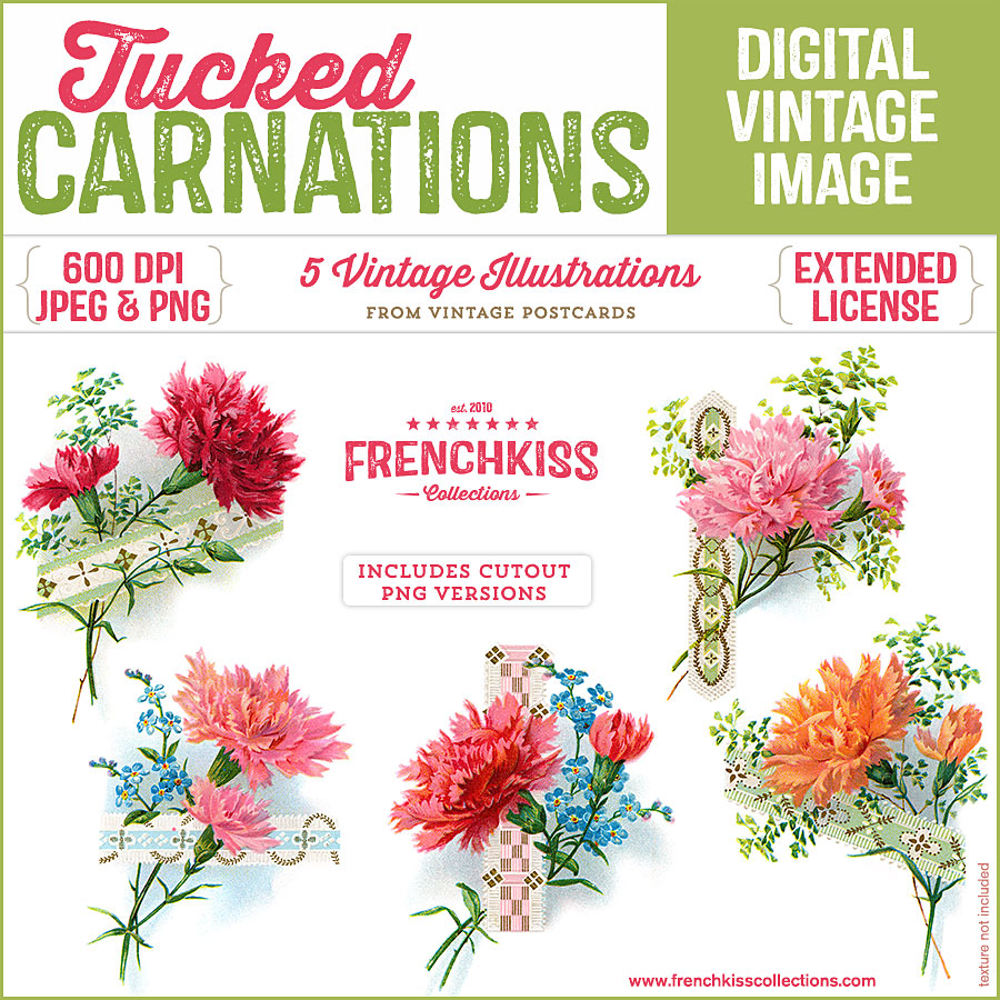 5 delightful illustrations of carnations tucked into ribbon holders from vintage postcards digital download..