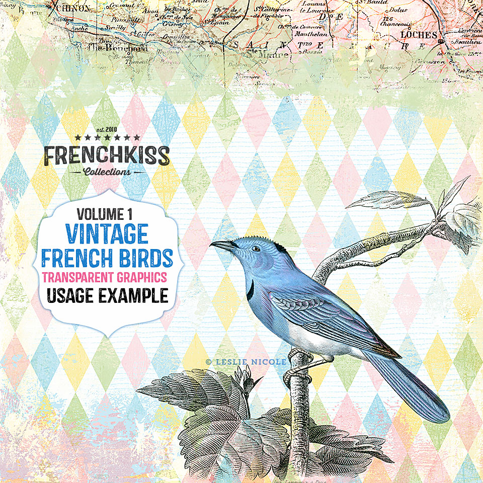 Design example using the Vintage French Bird Illustration graphics.