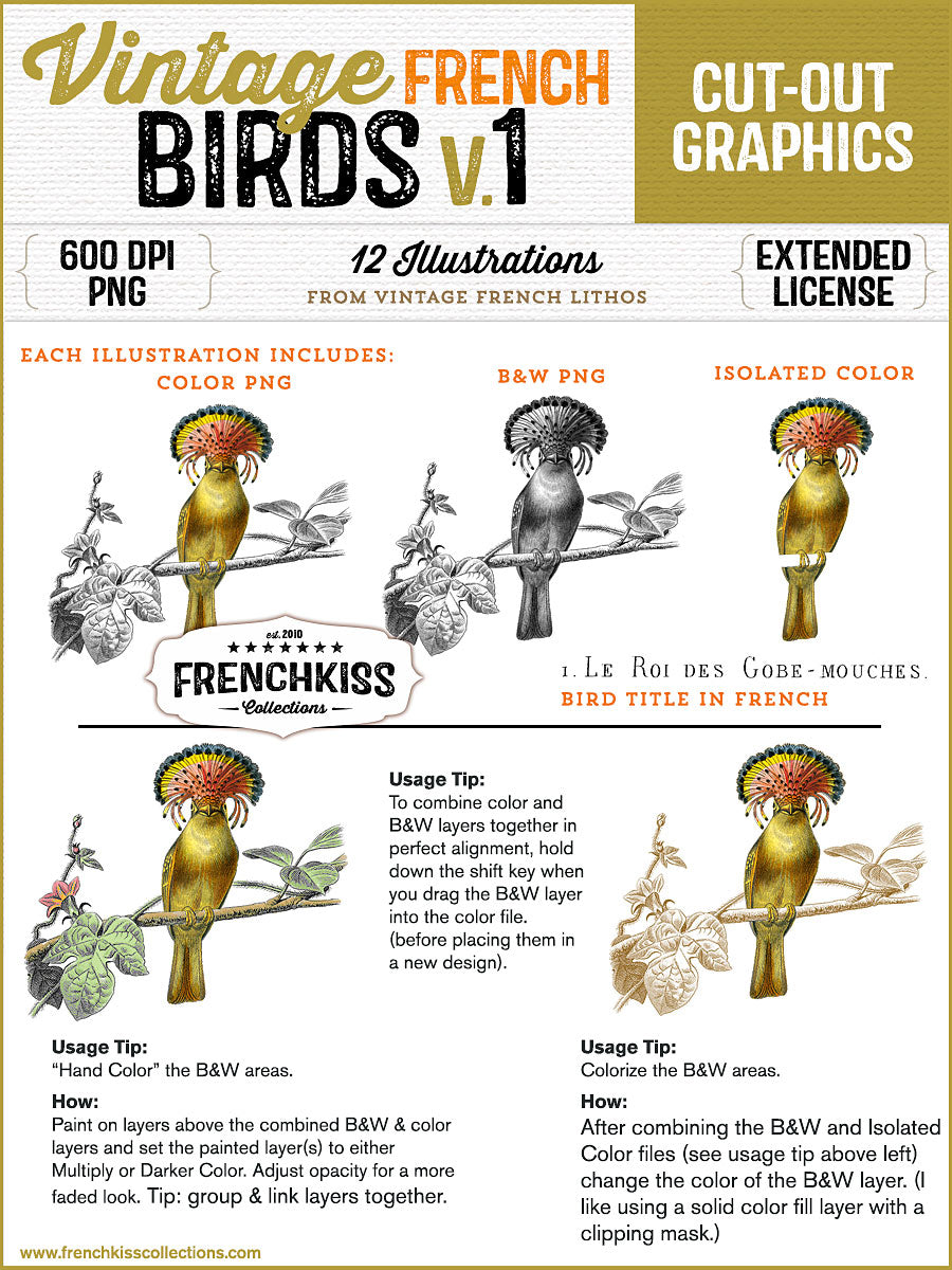 File versions and tips for the Vintage French Bird Illustration graphics.