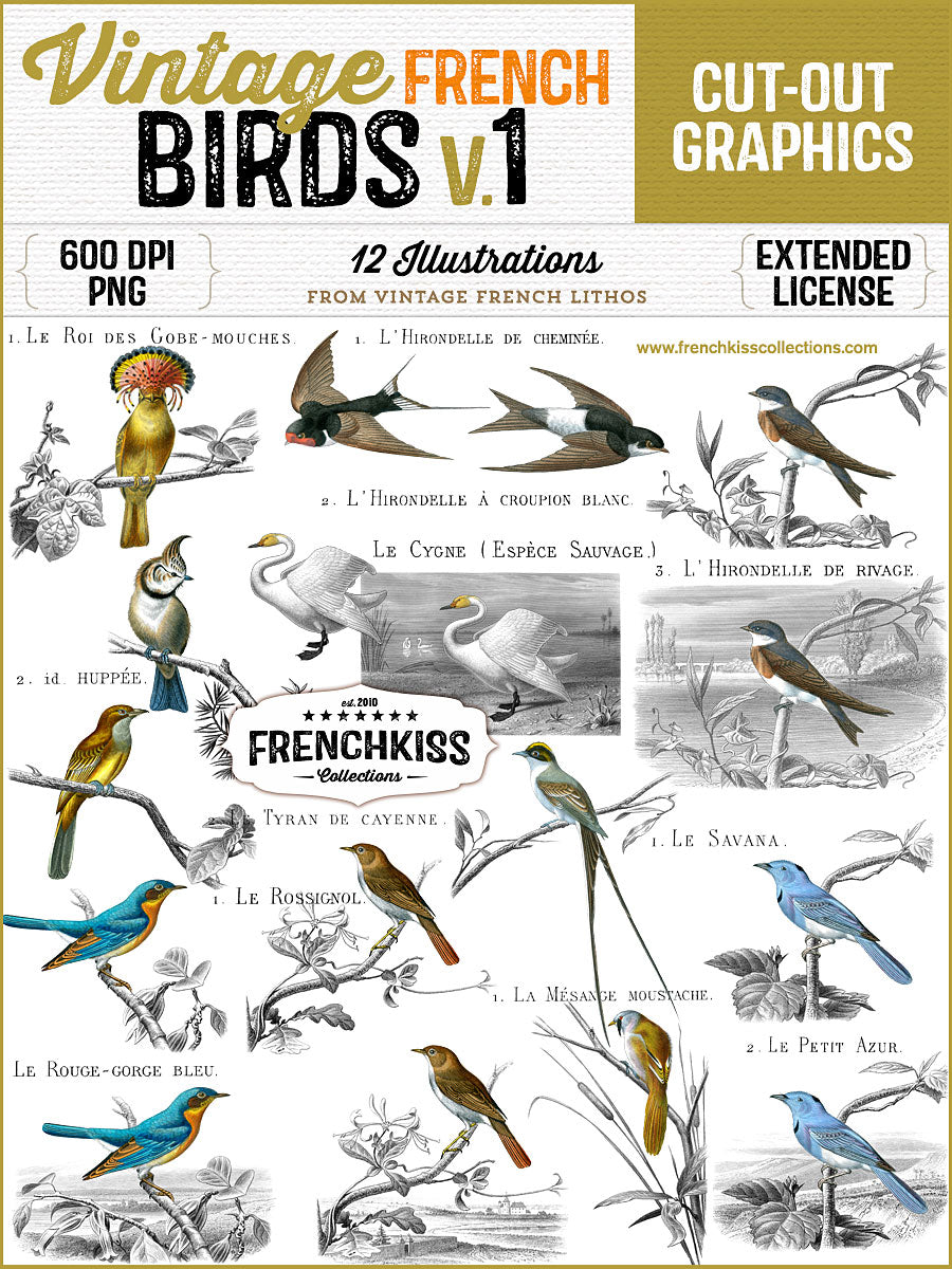 12 magnificent bird illustration from the late 1800&#39;s commercial use graphics.