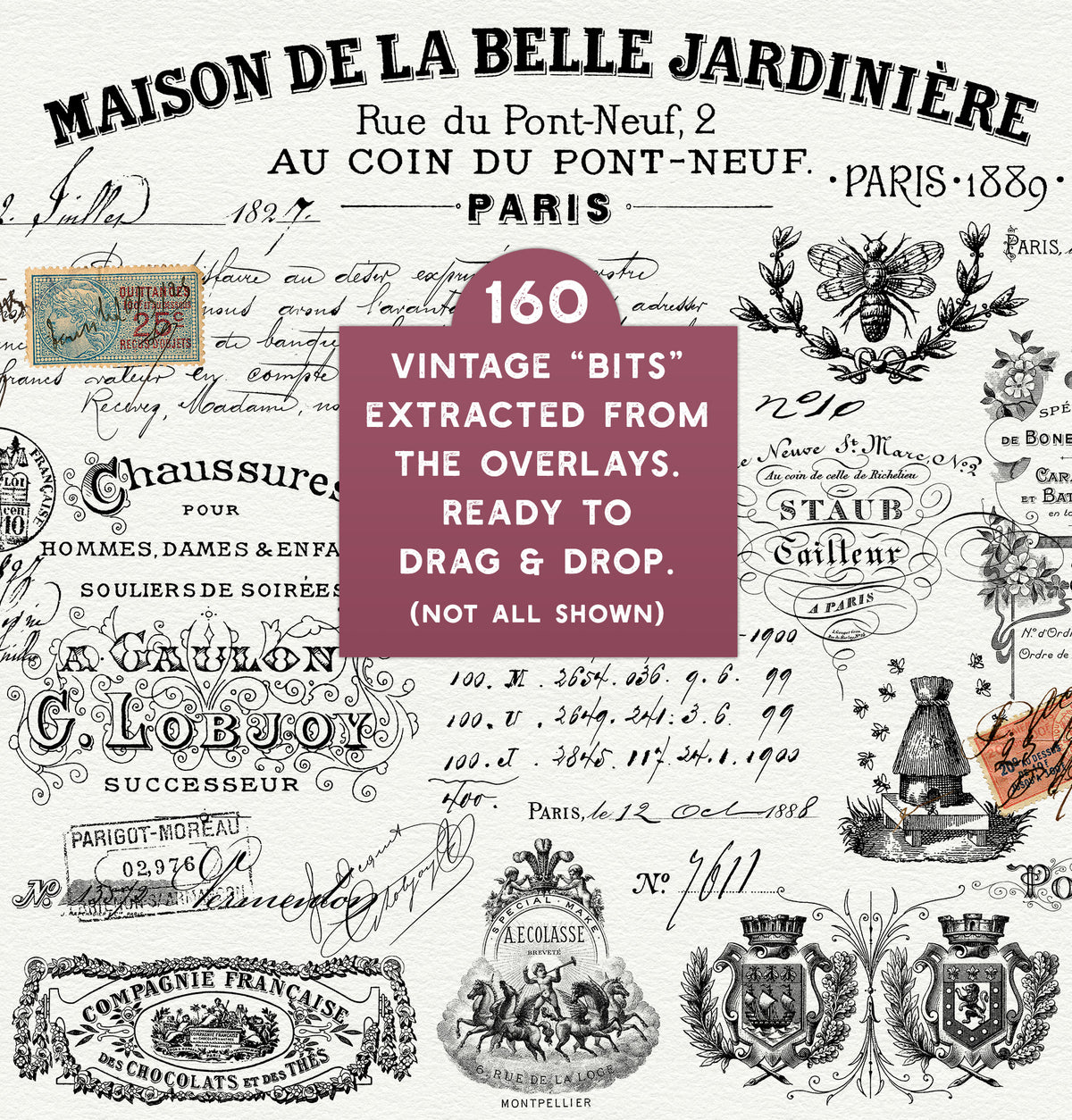 Vintage French script and elements digital graphics.