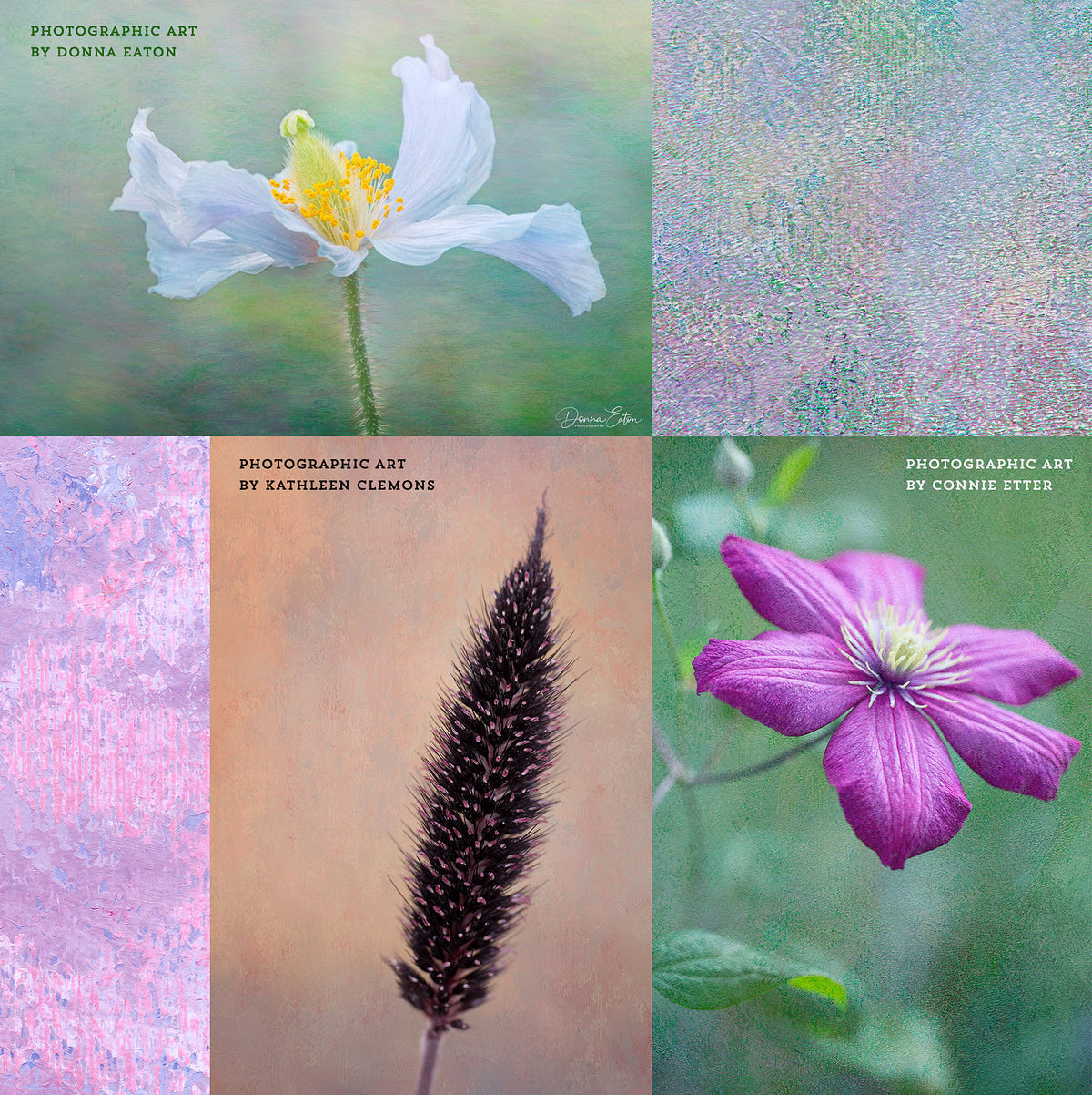 Floral photography examples using the Virtuoso Painterly texture collection.